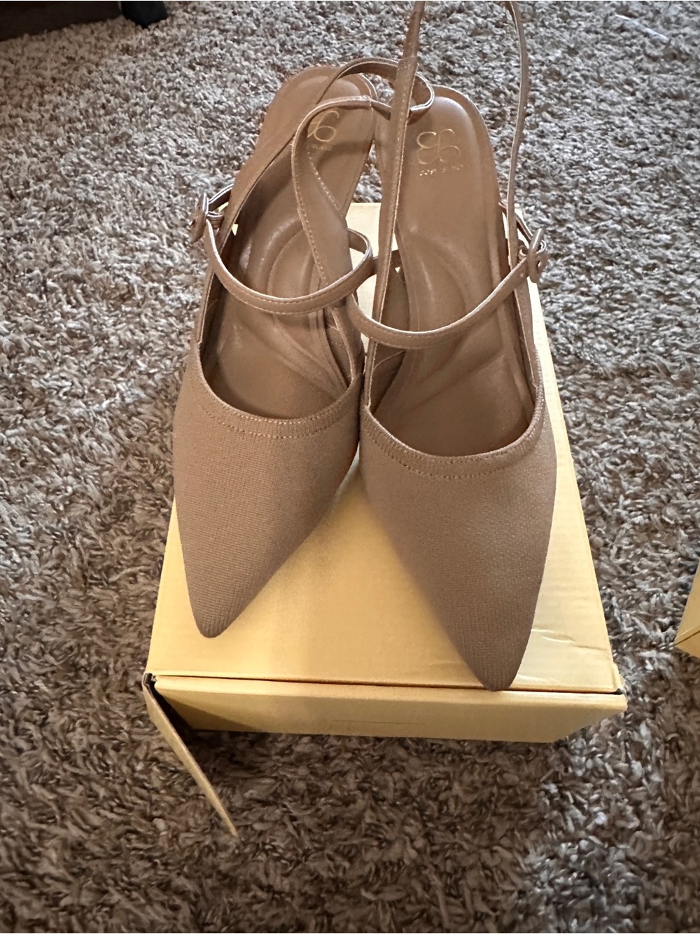 Pointed Slingback Heels in Taupe/Nude